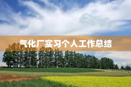 气化厂实习个人工作总结
