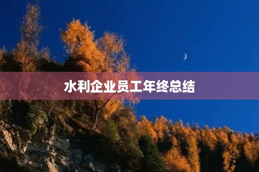 水利企业员工年终总结 水利企业员工年终总结