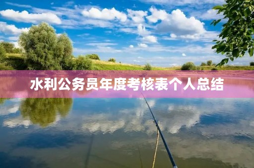 水利公务员年度考核表个人总结