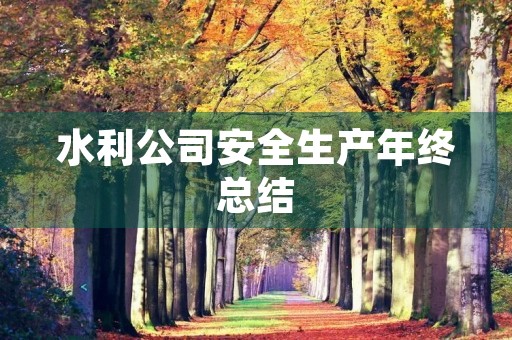 水利公司安全生产年终总结