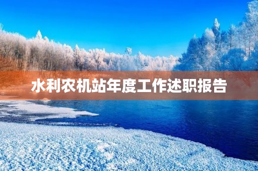 水利农机站年度工作述职报告