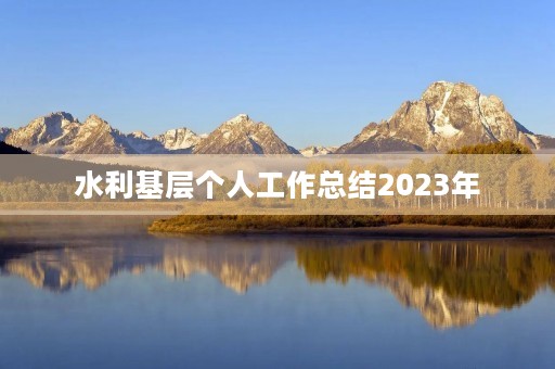 水利基层个人工作总结2023年