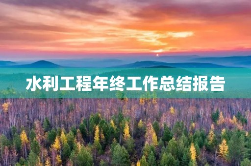 水利工程年终工作总结报告
