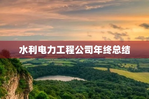水利电力工程公司年终总结