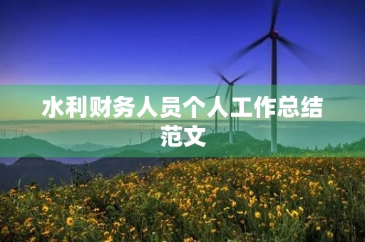 水利财务人员个人工作总结范文