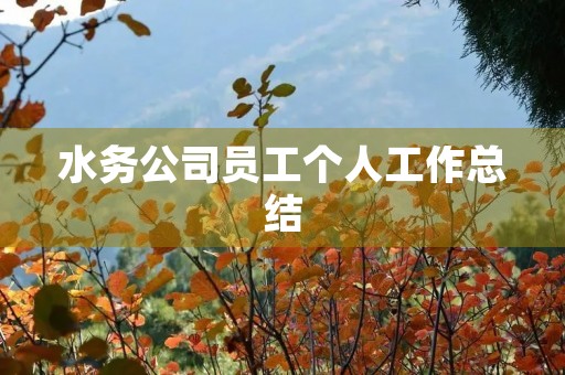 水务公司员工个人工作总结