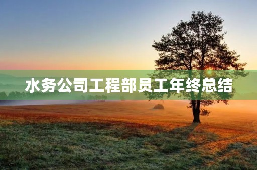 水务公司工程部员工年终总结
