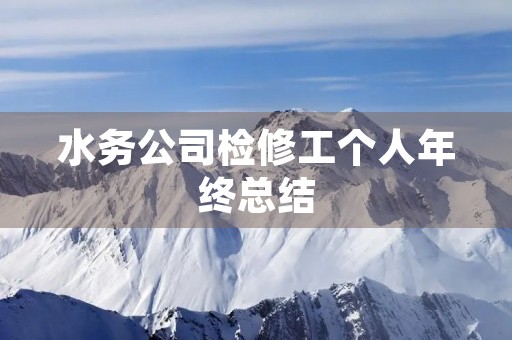 水务公司检修工个人年终总结