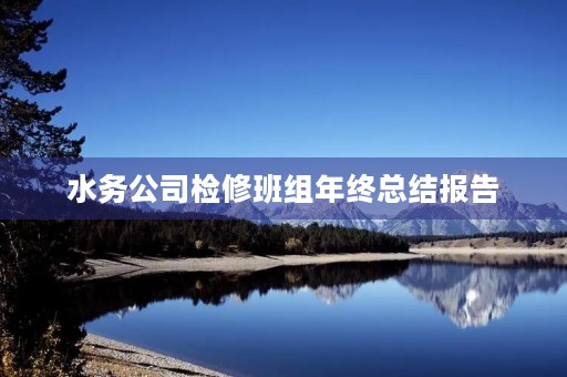 水务公司检修班组年终总结报告