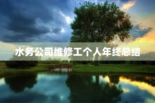 水务公司维修工个人年终总结