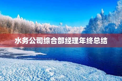 水务公司综合部经理年终总结