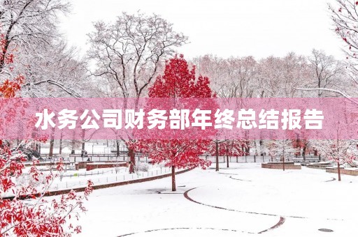 水务公司财务部年终总结报告