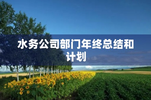 水务公司部门年终总结和计划