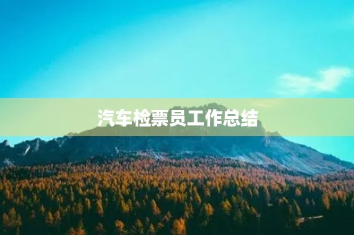 汽车检票员工作总结