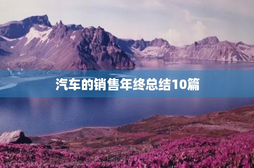 汽车的销售年终总结10篇