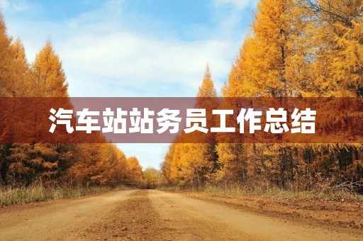 汽车站站务员工作总结