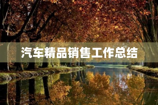 汽车精品销售工作总结
