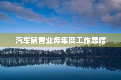 汽车销售业务年度工作总结