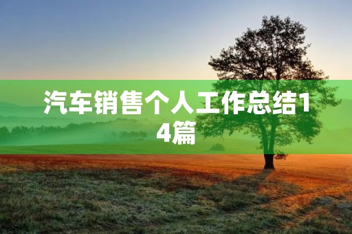 汽车销售个人工作总结14篇