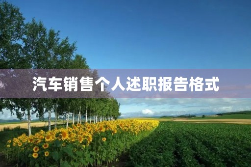 汽车销售个人述职报告格式(7篇)