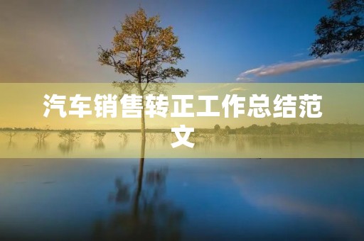 汽车销售转正工作总结范文(20篇)