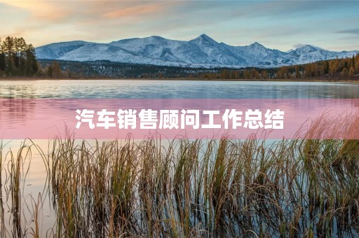 汽车销售顾问工作总结