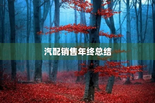 汽配销售年终总结