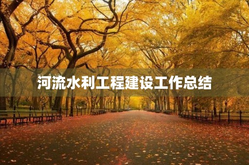 河流水利工程建设工作总结