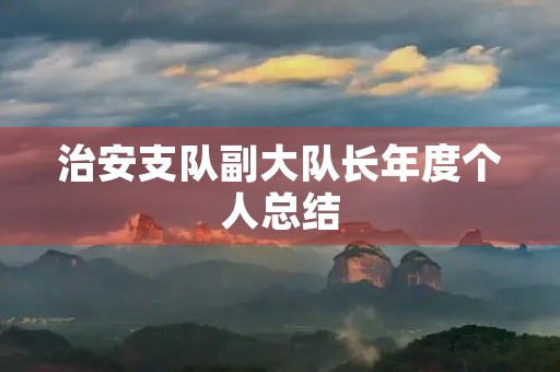 治安支队副大队长年度个人总结