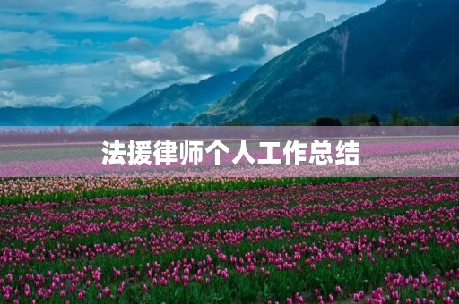 法援律师个人工作总结