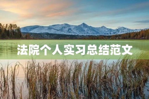 **个人实习总结范文
