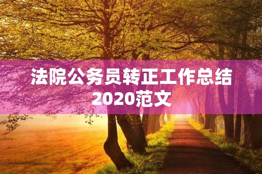 法院公务员转正工作总结2020范文