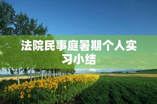 **民事庭暑期个人实习小结 **民事庭暑期个人实习小结