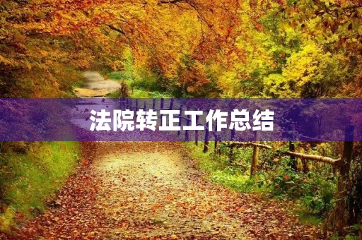 法院转正工作总结