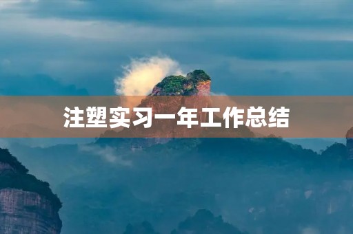 注塑实习一年工作总结