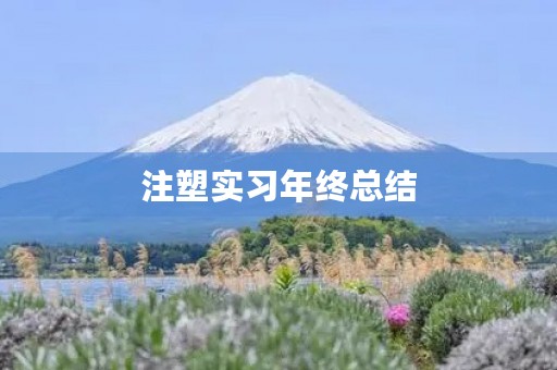 注塑实习年终总结 注塑实习年终总结