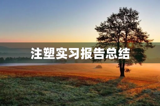 注塑实习报告总结 注塑实习报告总结