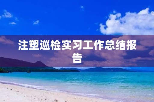 注塑巡检实习工作总结报告