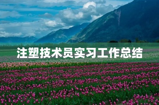 注塑技术员实习工作总结