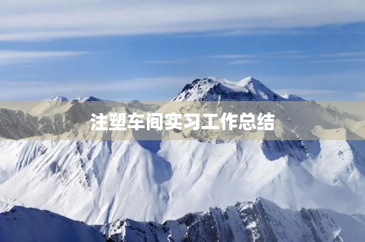 注塑车间实习工作总结