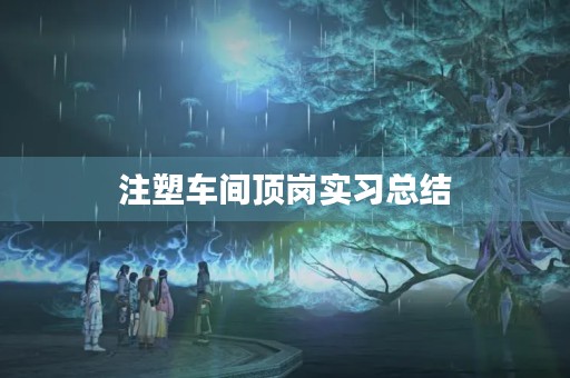 注塑车间顶岗实习总结