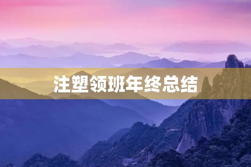 注塑领班年终总结