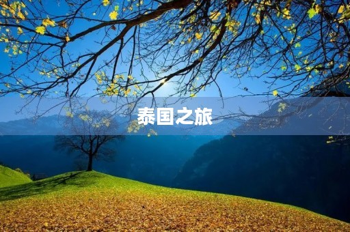 泰国之旅