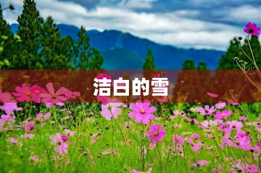 洁白的雪