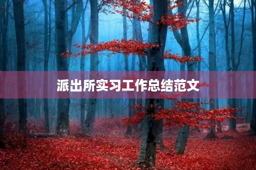 派出所实习工作总结范文