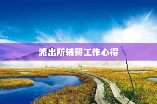 派出所辅警工作心得