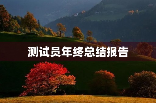 测试员年终总结报告