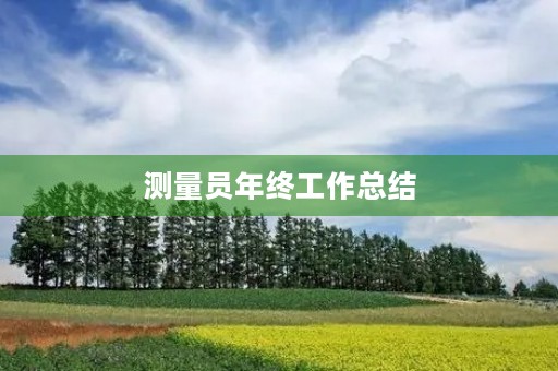 测量员年终工作总结