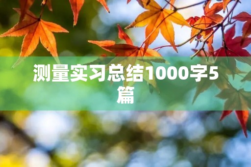 测量实习总结1000字5篇 测量实习总结1000字5篇