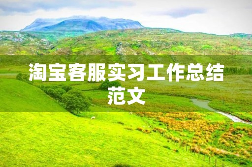 淘宝客服实习工作总结范文 淘宝客服实习工作总结范文